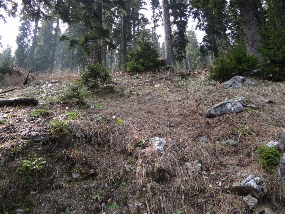 KOŠENJAK, 1522m in URŠLJA GORA, 1699 m - foto povečava