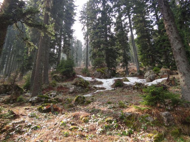 KOŠENJAK, 1522m in URŠLJA GORA, 1699 m - foto