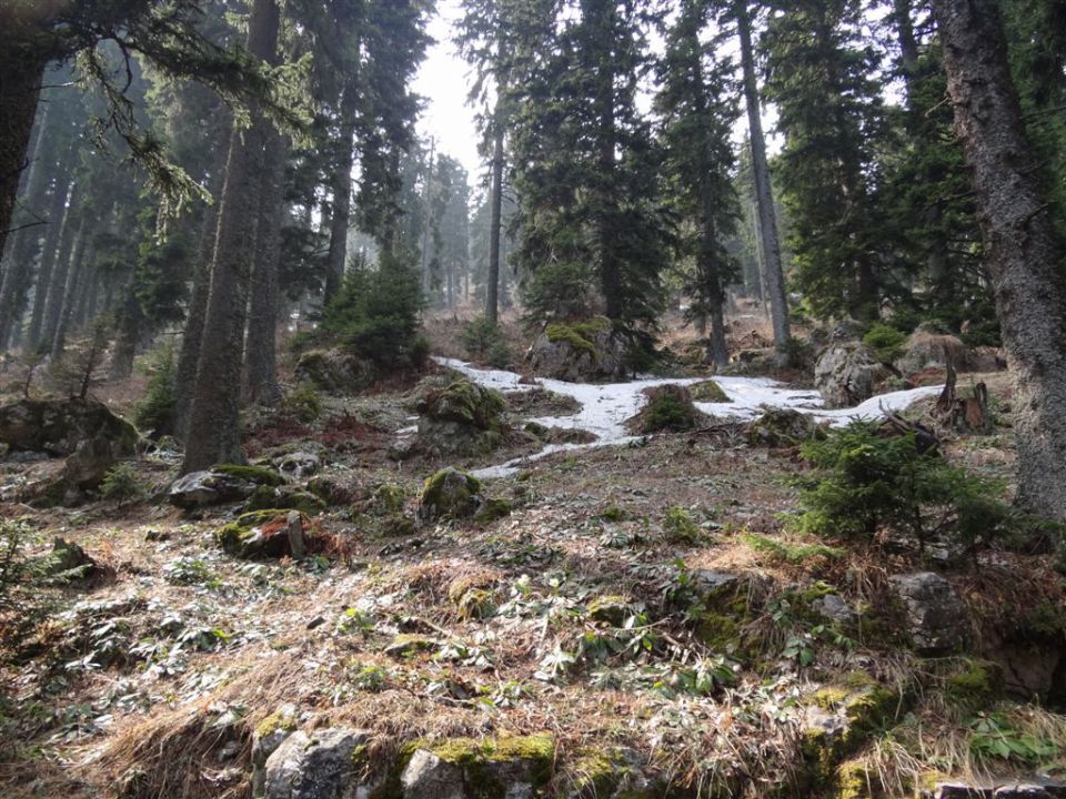 KOŠENJAK, 1522m in URŠLJA GORA, 1699 m - foto povečava