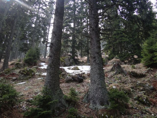 KOŠENJAK, 1522m in URŠLJA GORA, 1699 m - foto