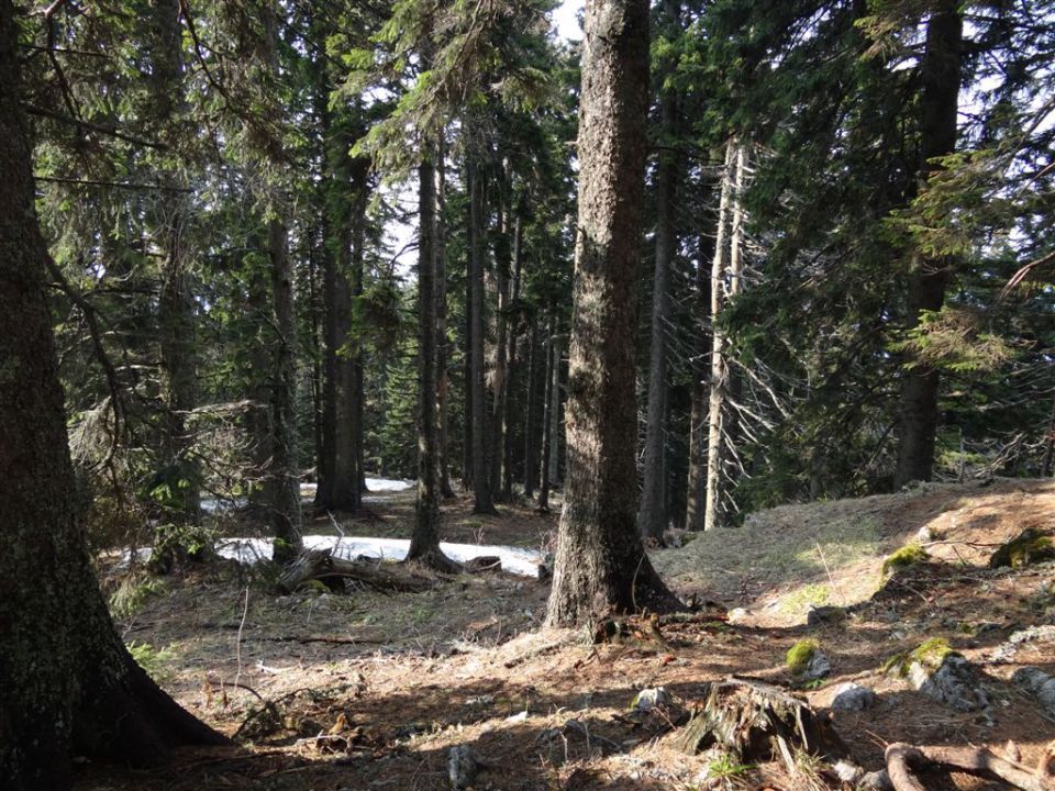 KOŠENJAK, 1522m in URŠLJA GORA, 1699 m - foto povečava