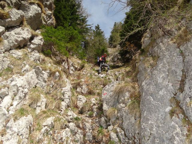 KAŠNA PL.- LEPENATKA-VELIKI ROGATEC,29.4.2012 - foto