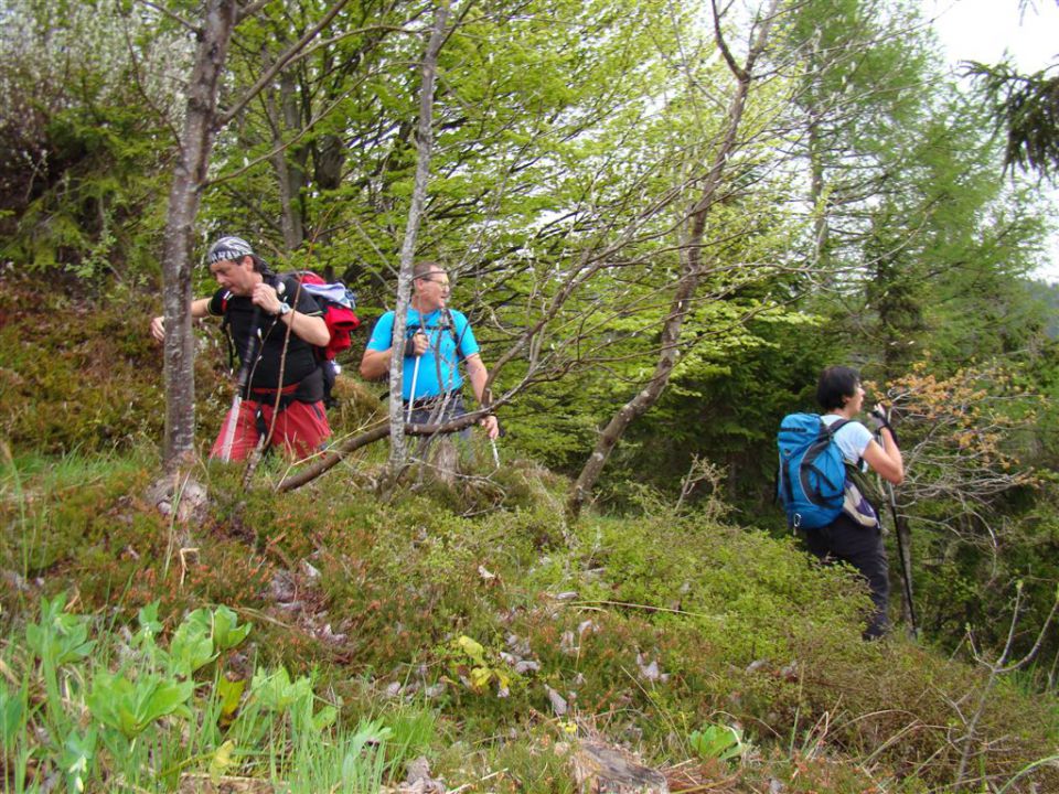 Mače-dom na Kališču (1540m)-Mače, 6.5.2012 - foto povečava