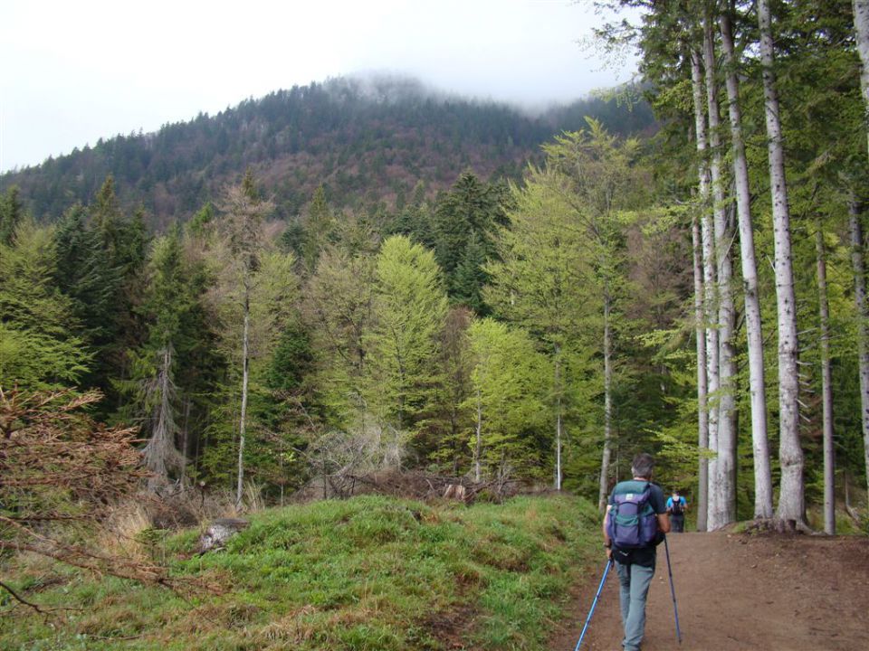 Mače-dom na Kališču (1540m)-Mače, 6.5.2012 - foto povečava