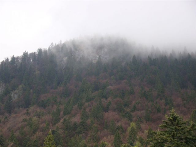 Mače-dom na Kališču (1540m)-Mače, 6.5.2012 - foto