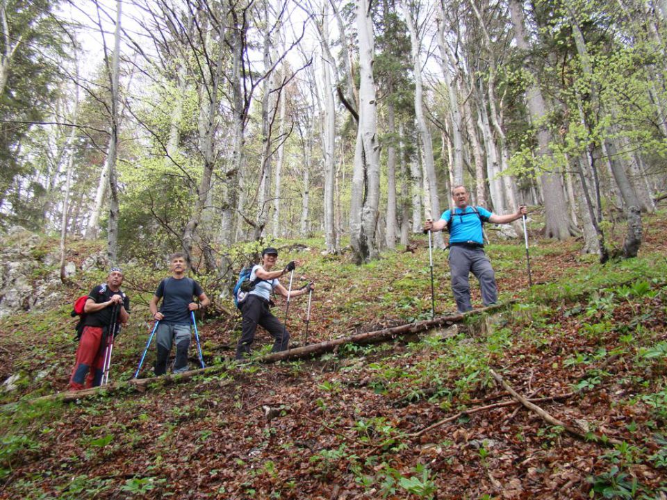 Mače-dom na Kališču (1540m)-Mače, 6.5.2012 - foto povečava