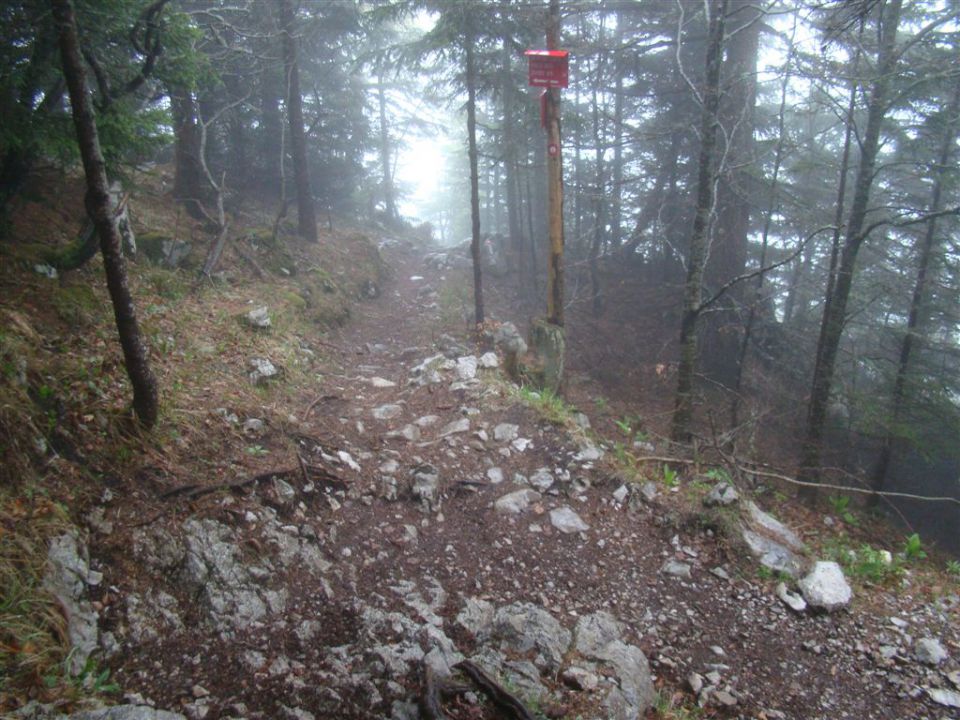 Mače-dom na Kališču (1540m)-Mače, 6.5.2012 - foto povečava