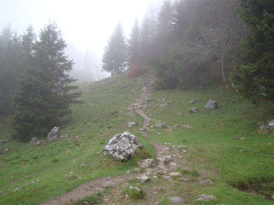 Mače-dom na Kališču (1540m)-Mače, 6.5.2012 - foto povečava