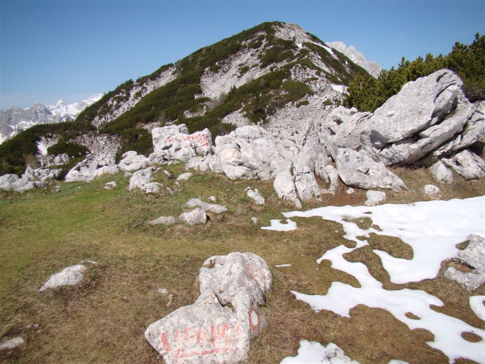 Debela peč - Lipanjski vrh - Mrežce_2012 - foto povečava