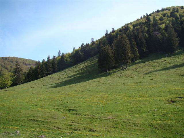 STRUŠKA PLANINA (1944m) in GOLICA (1834m) - foto