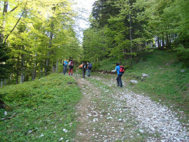 STRUŠKA PLANINA (1944m) in GOLICA (1834m) - foto