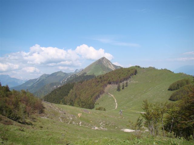 STRUŠKA PLANINA (1944m) in GOLICA (1834m) - foto