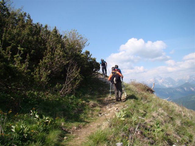 STRUŠKA PLANINA (1944m) in GOLICA (1834m) - foto