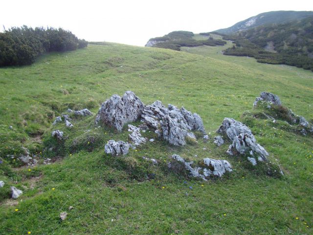 STRUŠKA PLANINA (1944m) in GOLICA (1834m) - foto