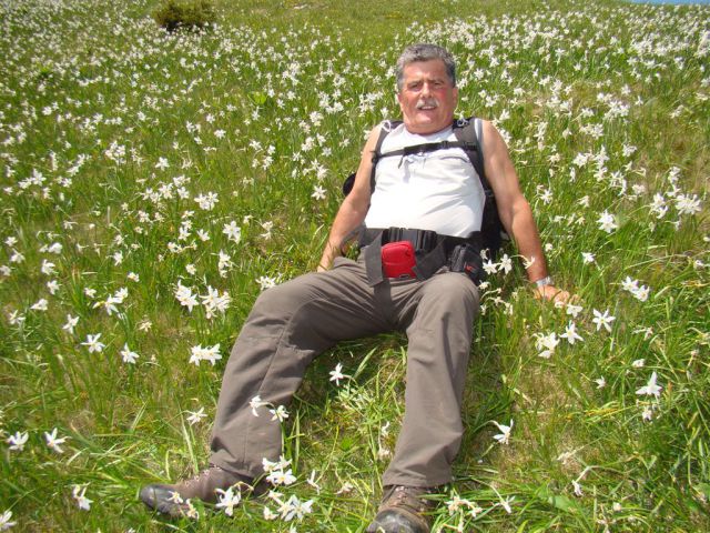 STRUŠKA PLANINA (1944m) in GOLICA (1834m) - foto