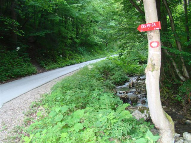 KRVAVICA in ČEMŠENIŠKA PLANINA - foto