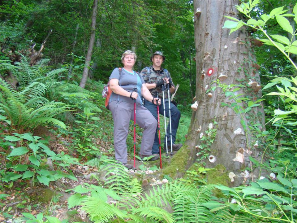 KRVAVICA in ČEMŠENIŠKA PLANINA - foto povečava