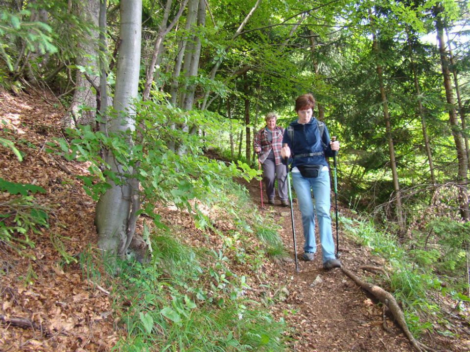 KRVAVICA in ČEMŠENIŠKA PLANINA - foto povečava