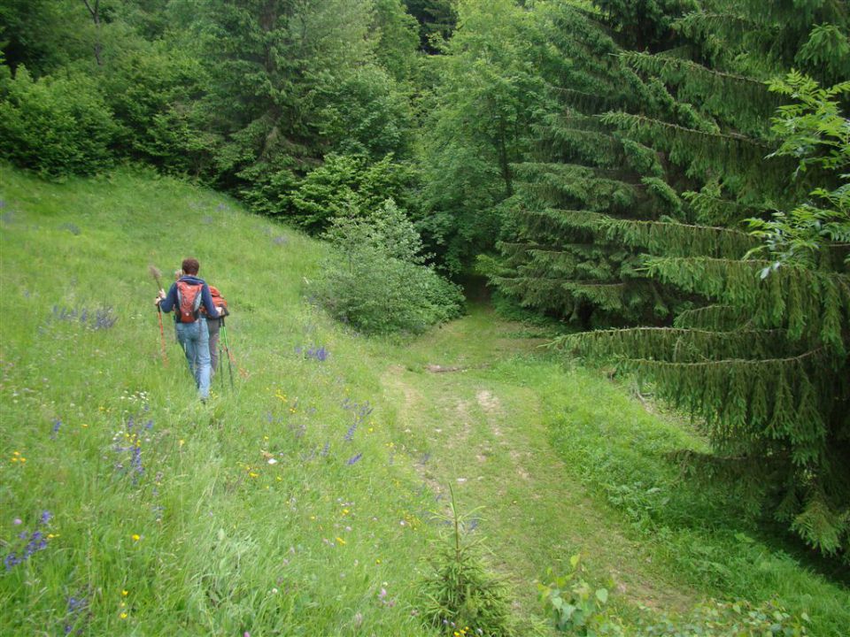 KRVAVICA in ČEMŠENIŠKA PLANINA - foto povečava