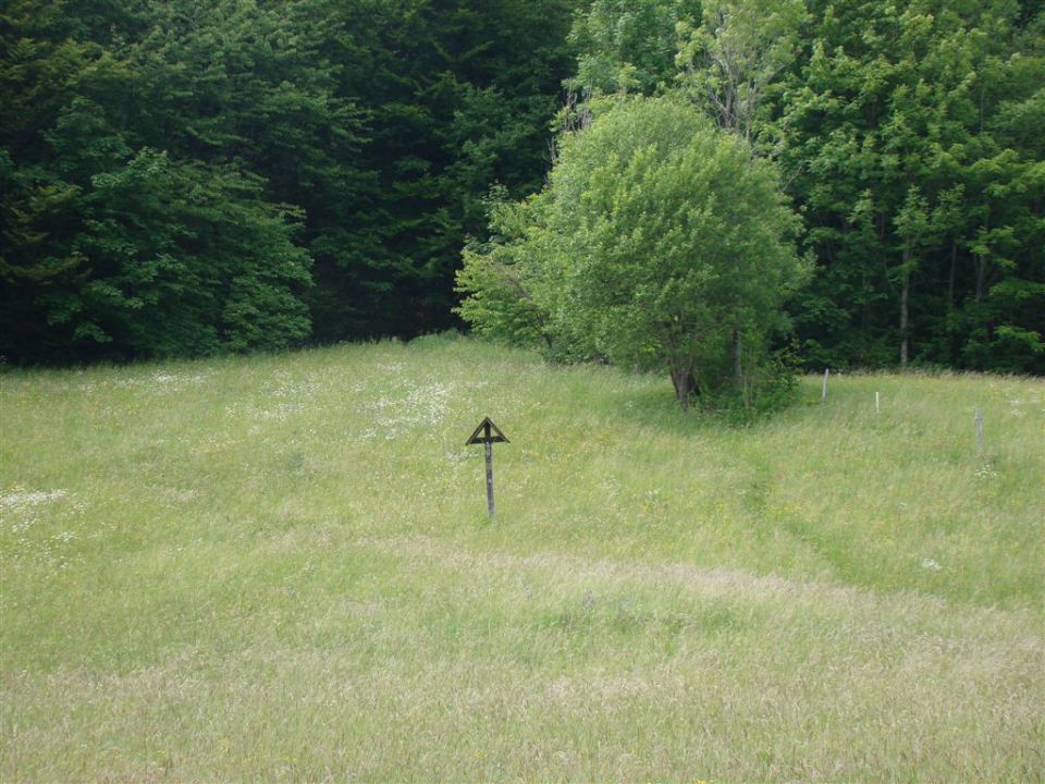 KRVAVICA in ČEMŠENIŠKA PLANINA - foto povečava