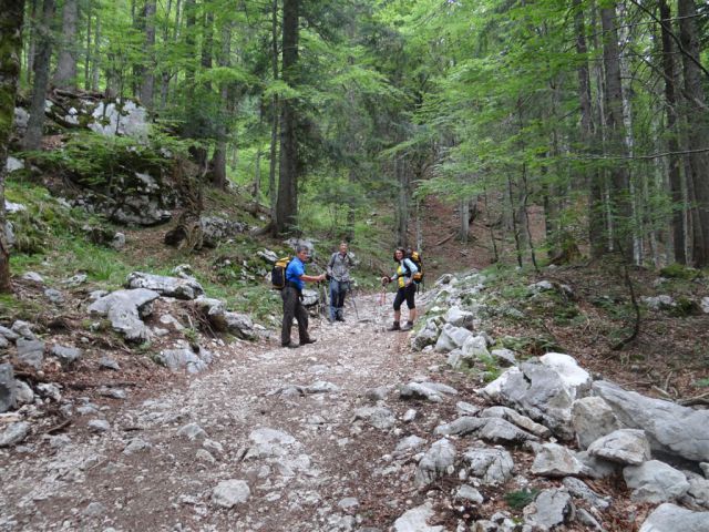 Mala TIČARICA, 2071 m, 25.6.2012 - foto