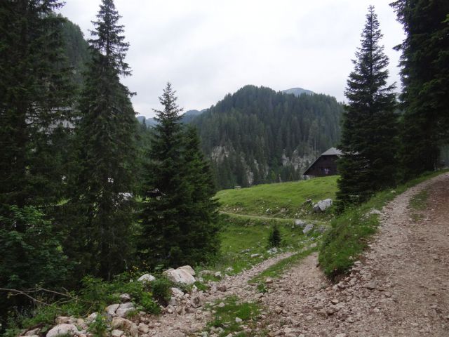 Mala TIČARICA, 2071 m, 25.6.2012 - foto