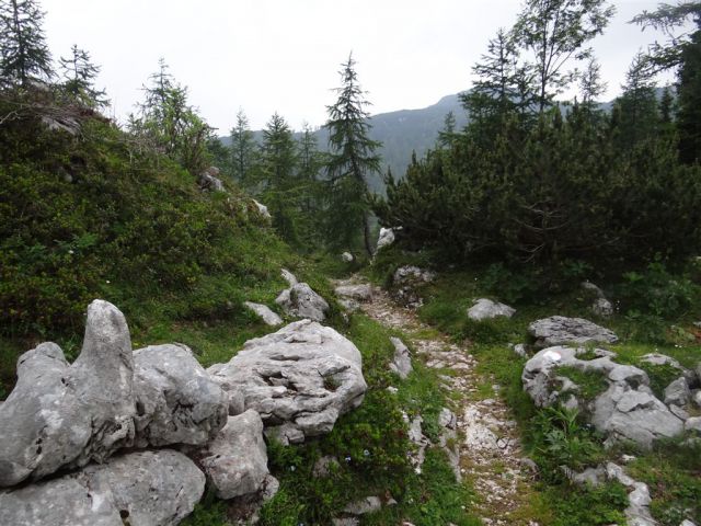 Mala TIČARICA, 2071 m, 25.6.2012 - foto