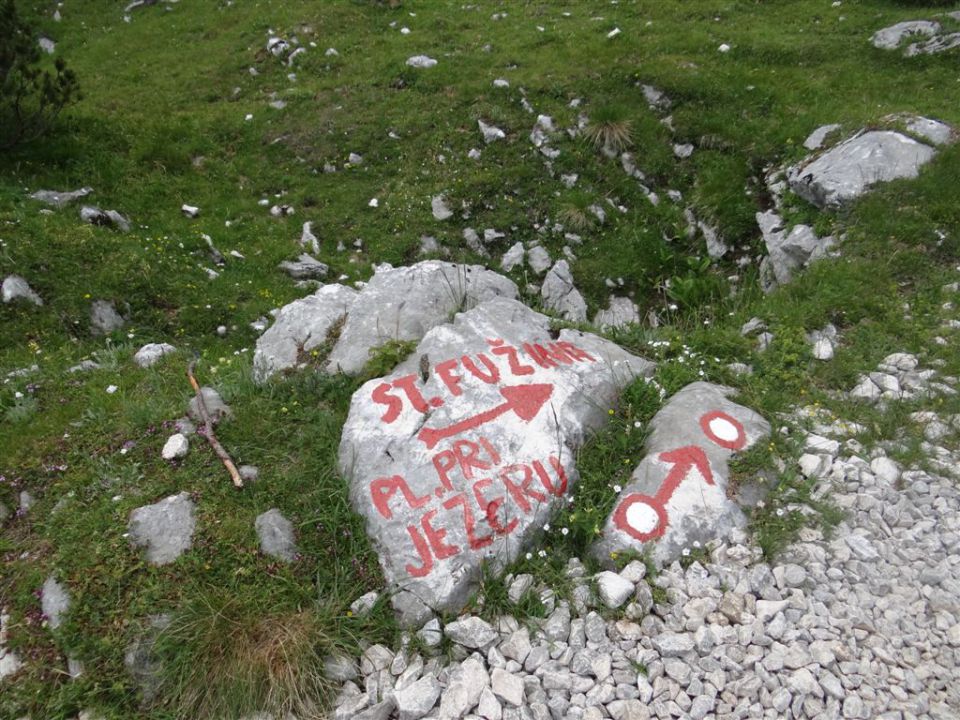 Mala TIČARICA, 2071 m, 25.6.2012 - foto povečava