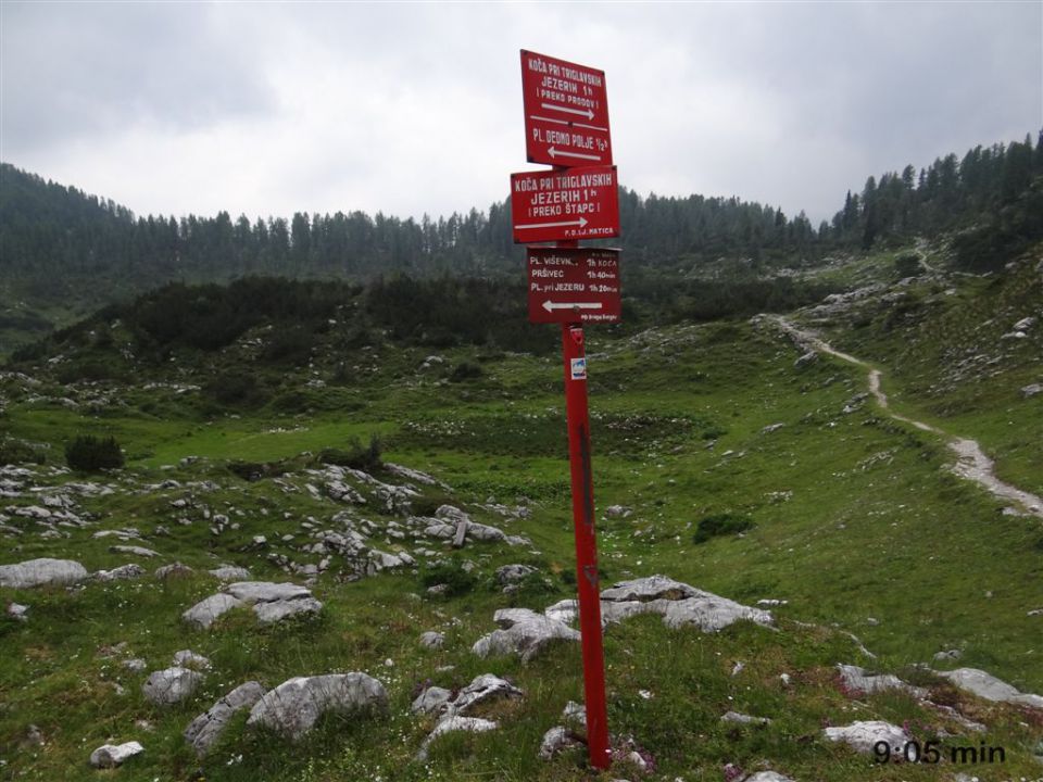 Mala TIČARICA, 2071 m, 25.6.2012 - foto povečava