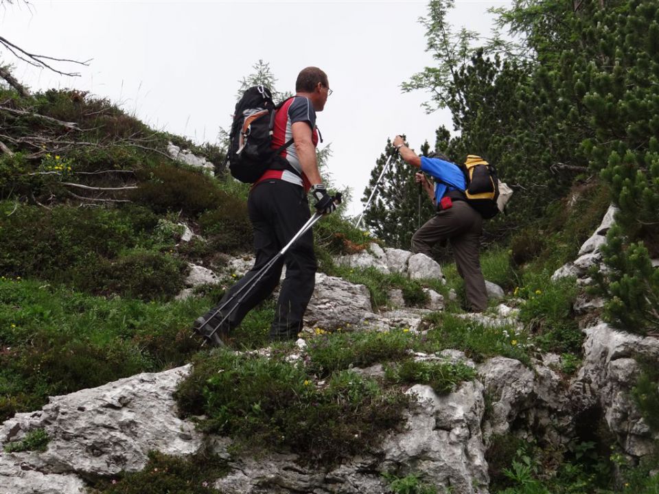 Mala TIČARICA, 2071 m, 25.6.2012 - foto povečava