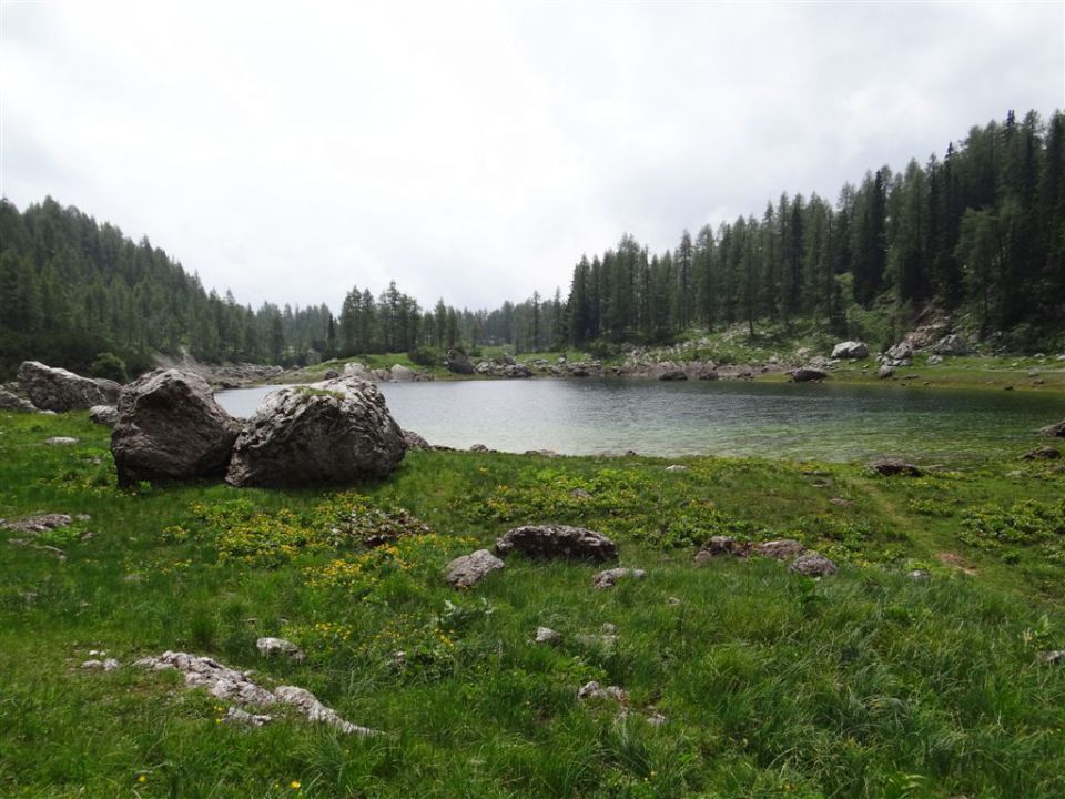 Mala TIČARICA, 2071 m, 25.6.2012 - foto povečava