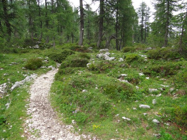 Mala TIČARICA, 2071 m, 25.6.2012 - foto