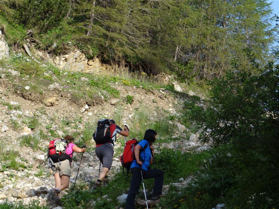 STOL, 2236 m, 1.7.2012  - foto povečava