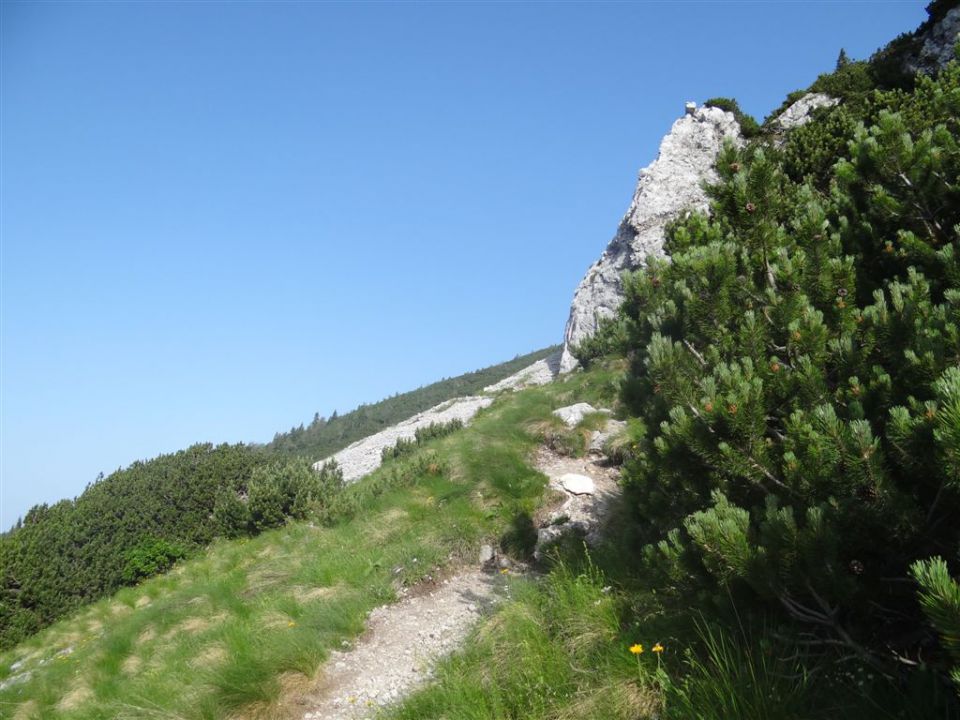 STOL, 2236 m, 1.7.2012  - foto povečava