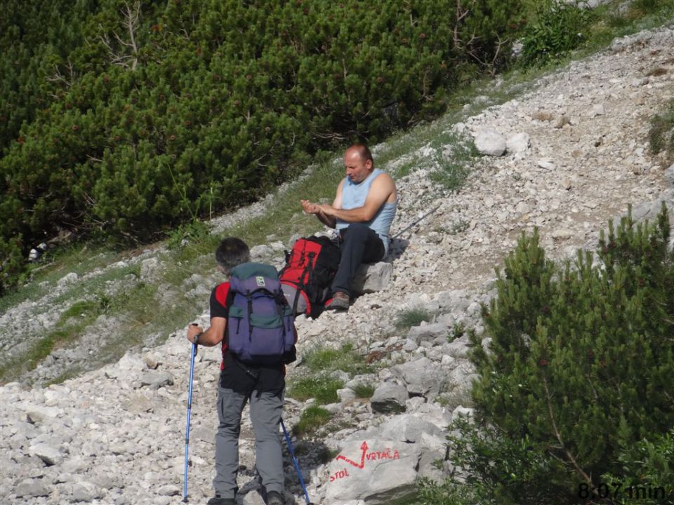 STOL, 2236 m, 1.7.2012  - foto povečava