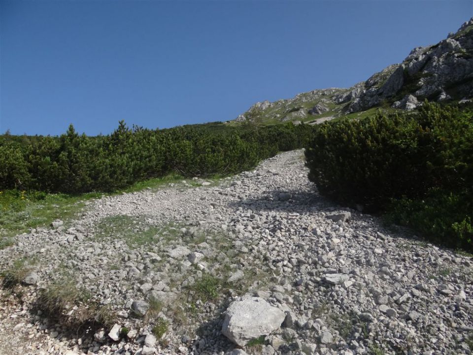 STOL, 2236 m, 1.7.2012  - foto povečava