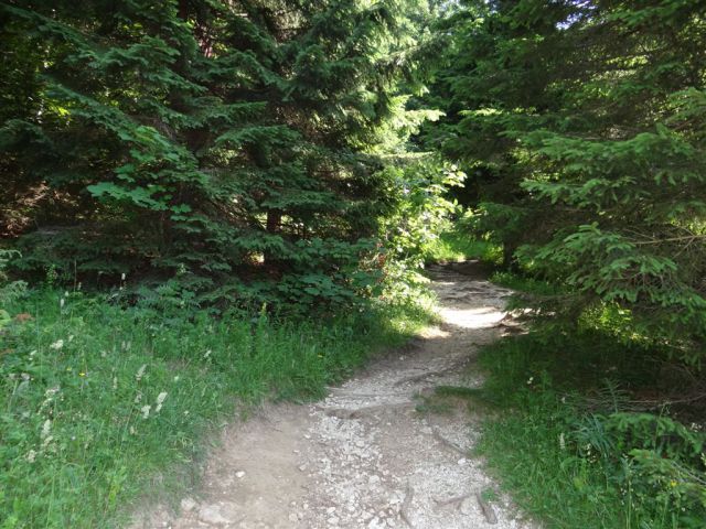 VELIKA in MALA PLANINA, 30.6.2012 - foto