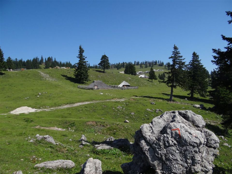 VELIKA in MALA PLANINA, 30.6.2012 - foto povečava