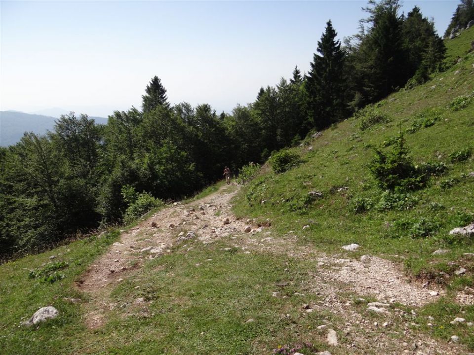 VELIKA in MALA PLANINA, 30.6.2012 - foto povečava