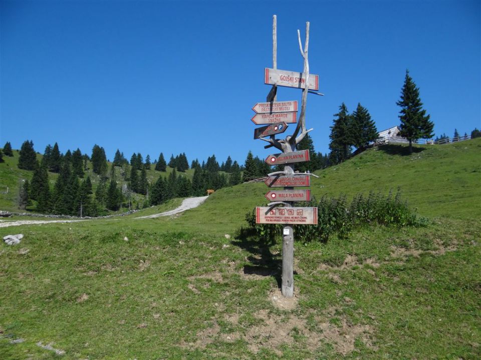 VELIKA in MALA PLANINA, 30.6.2012 - foto povečava