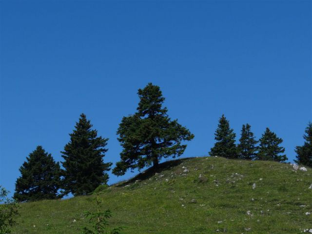 VELIKA in MALA PLANINA, 30.6.2012 - foto