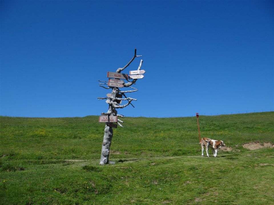 VELIKA in MALA PLANINA, 30.6.2012 - foto povečava