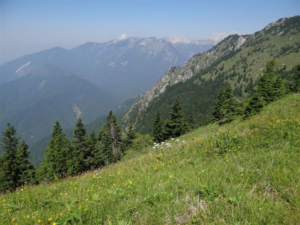 VELIKA in MALA PLANINA, 30.6.2012 - foto povečava