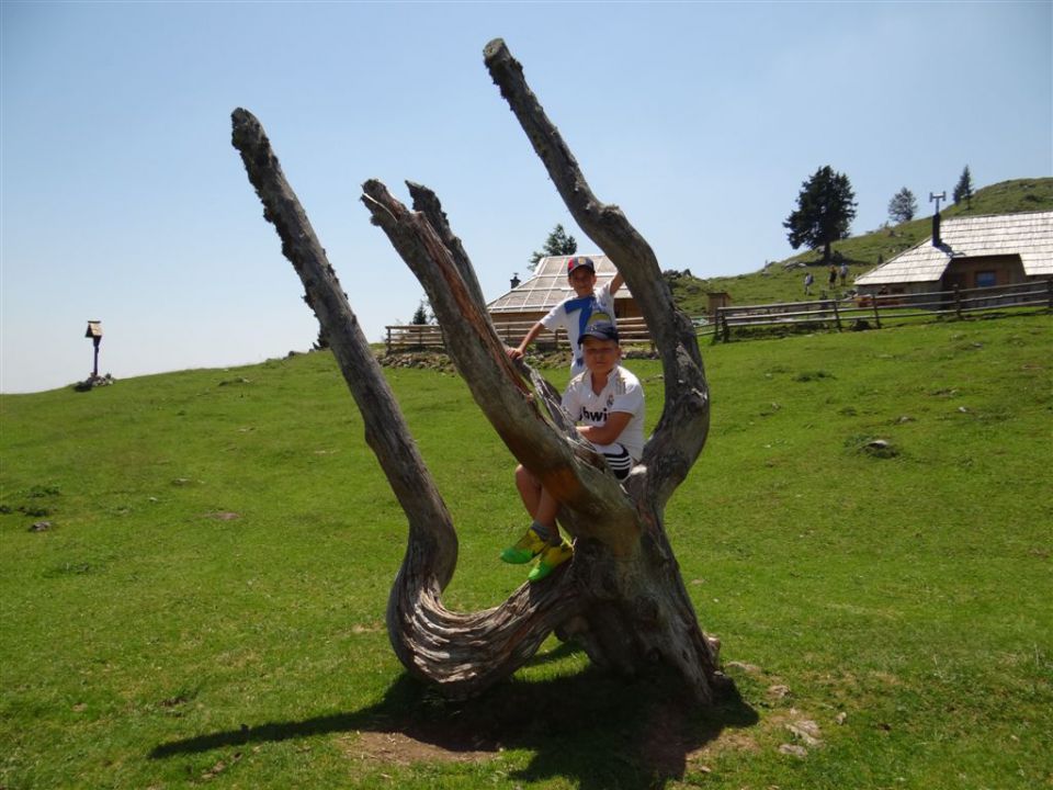 VELIKA in MALA PLANINA, 30.6.2012 - foto povečava