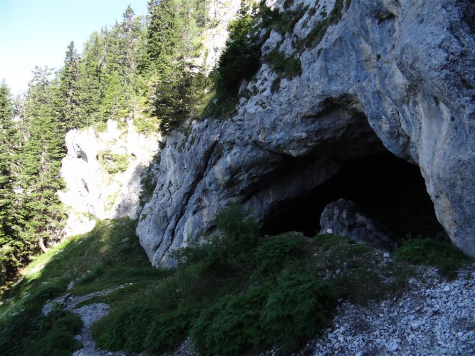 OLJŠEVA, 1929 m, 8.7.2012 - foto povečava