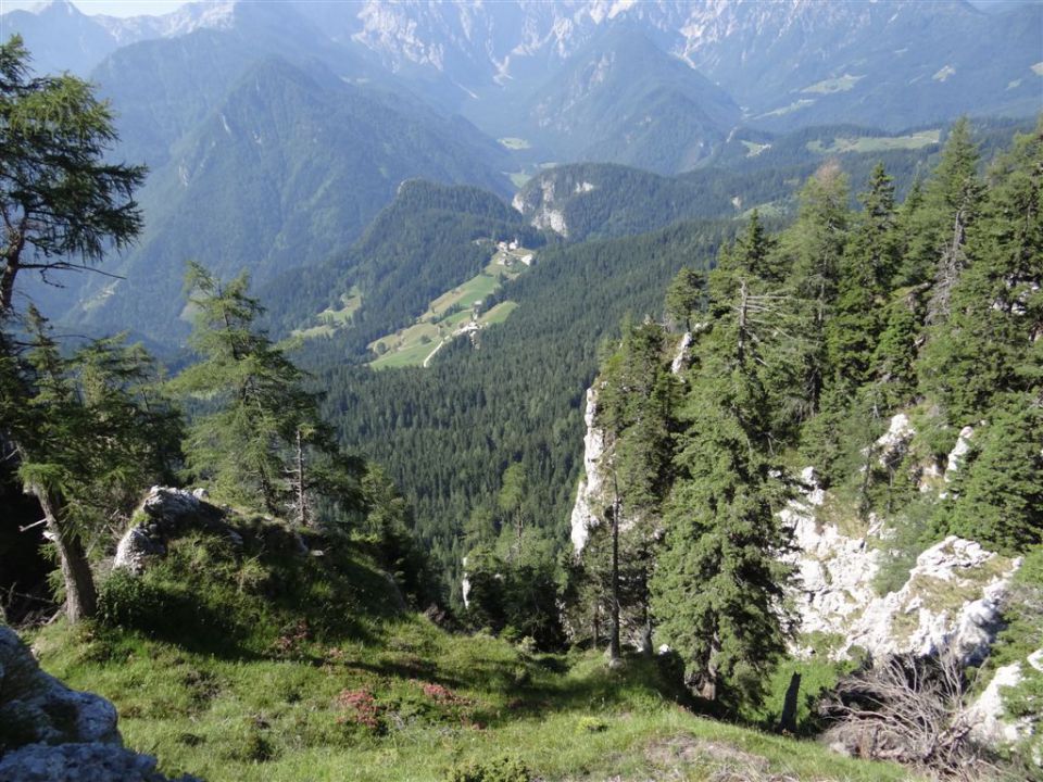 OLJŠEVA, 1929 m, 8.7.2012 - foto povečava