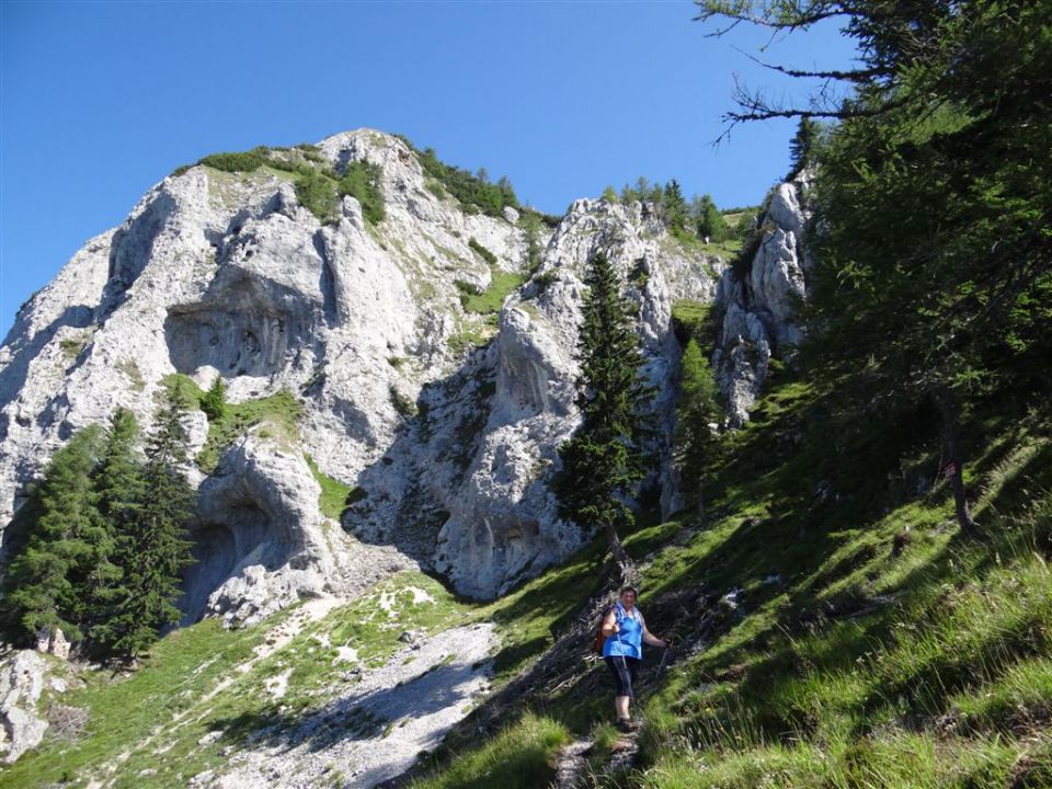 OLJŠEVA, 1929 m, 8.7.2012 - foto povečava