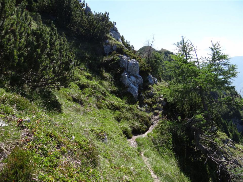 OLJŠEVA, 1929 m, 8.7.2012 - foto povečava