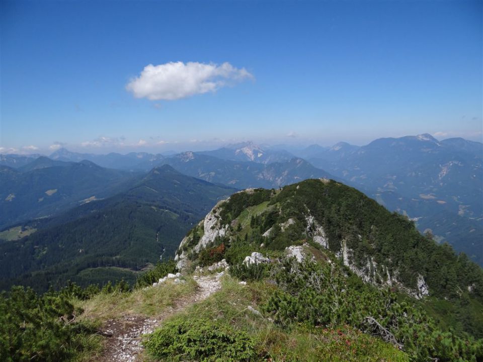 OLJŠEVA, 1929 m, 8.7.2012 - foto povečava