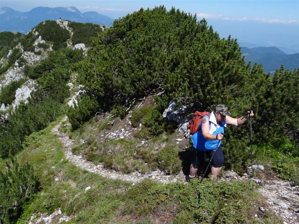 OLJŠEVA, 1929 m, 8.7.2012 - foto povečava